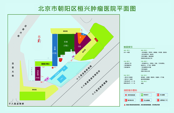 大鸡棒操我网站北京市朝阳区桓兴肿瘤医院平面图